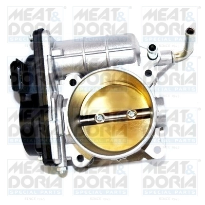 Throttle Body